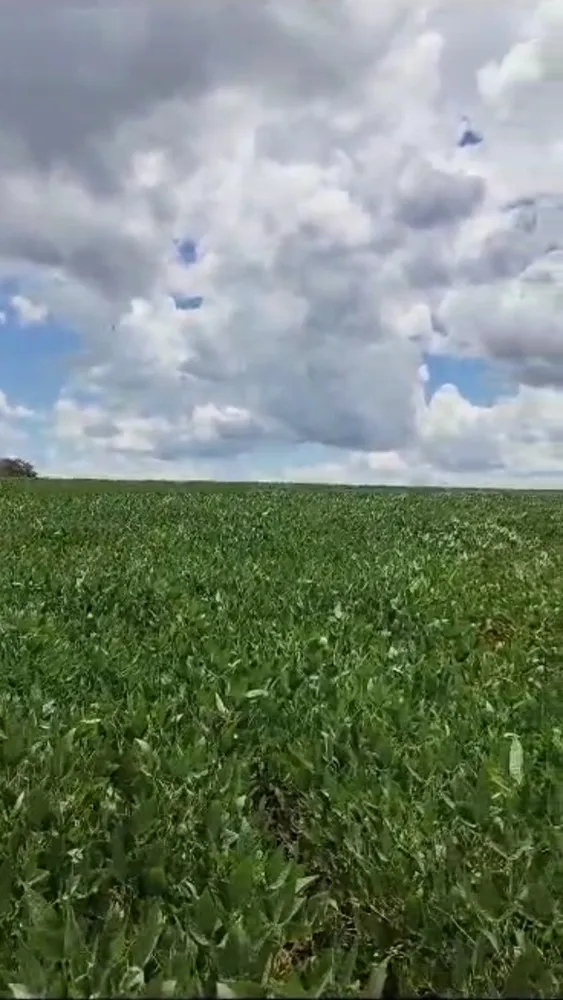 Fazenda, 1 quarto - Foto 2