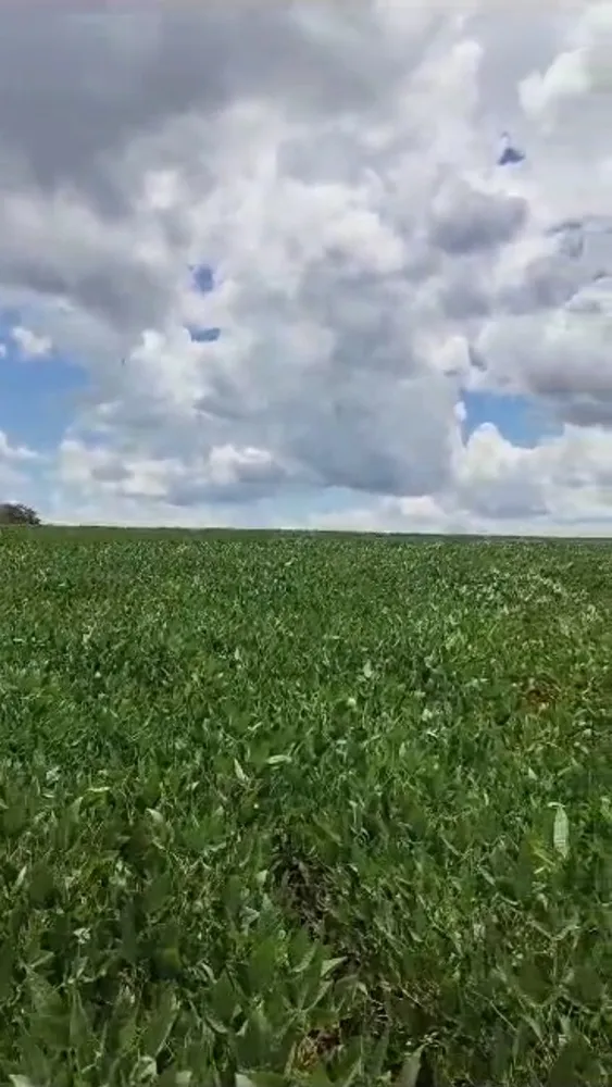 Fazenda, 1 quarto - Foto 1