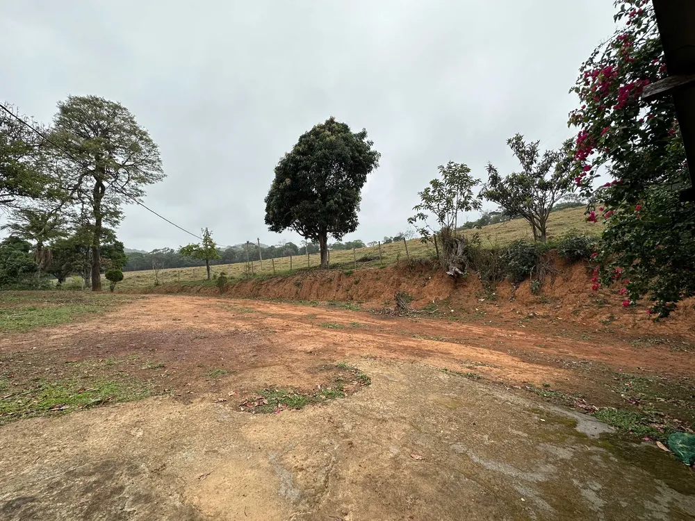 Fazenda, 58 hectares - Foto 7