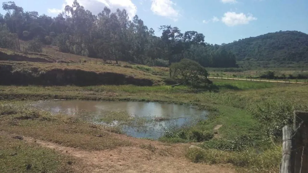 Fazenda, 58 hectares - Foto 8