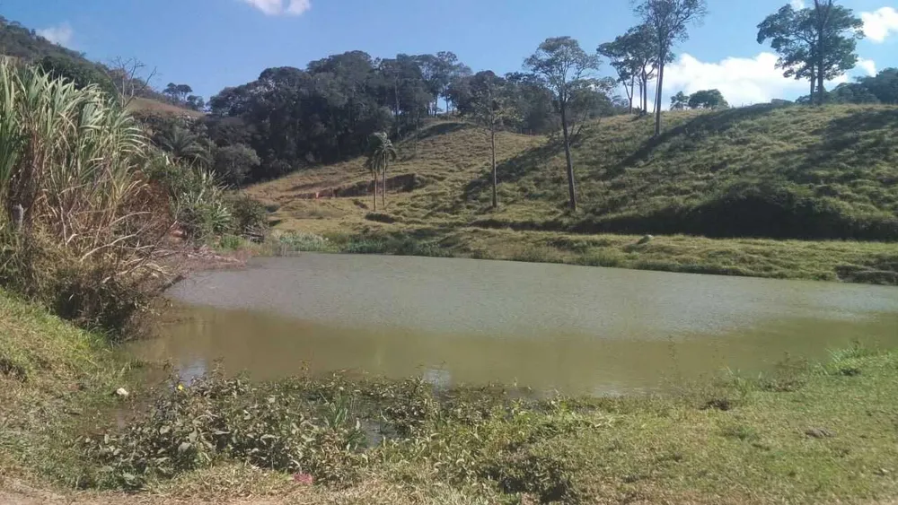 Fazenda, 58 hectares - Foto 2