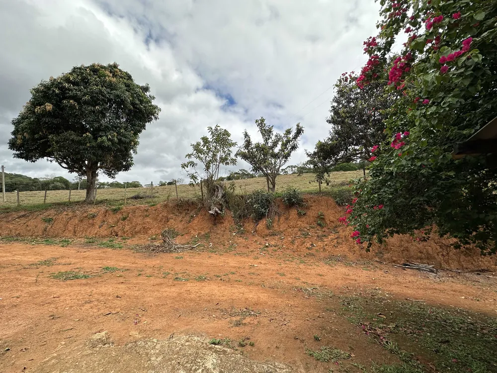 Fazenda, 58 hectares - Foto 5
