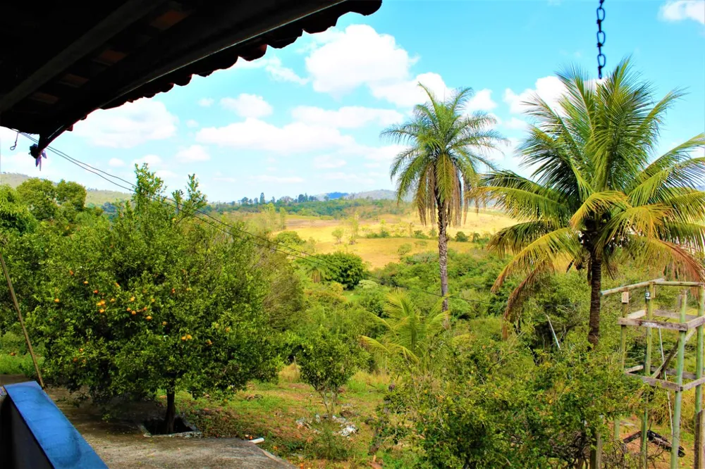 Chácara, 4 quartos, 2 hectares - Foto 14