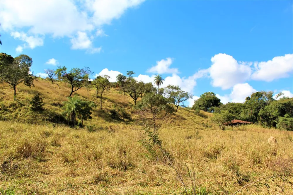 Chácara, 4 quartos, 2 hectares - Foto 19