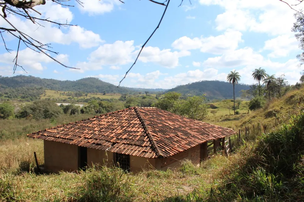 Chácara, 4 quartos, 2 hectares - Foto 17