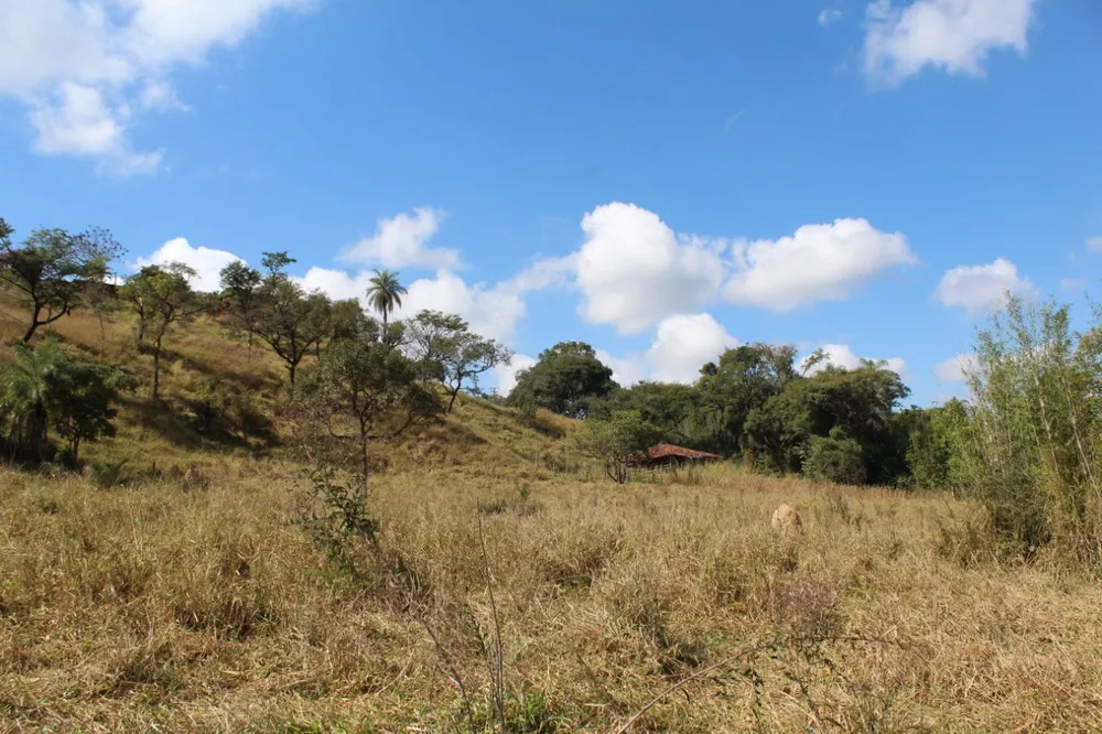 Chácara, 4 quartos, 2 hectares - Foto 18