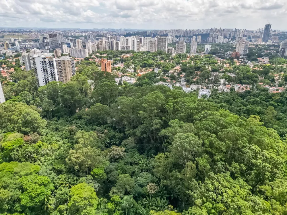 Terreno, 663 m² - Foto 10