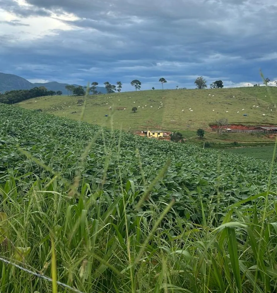 Fazenda, 194 m² - Foto 8