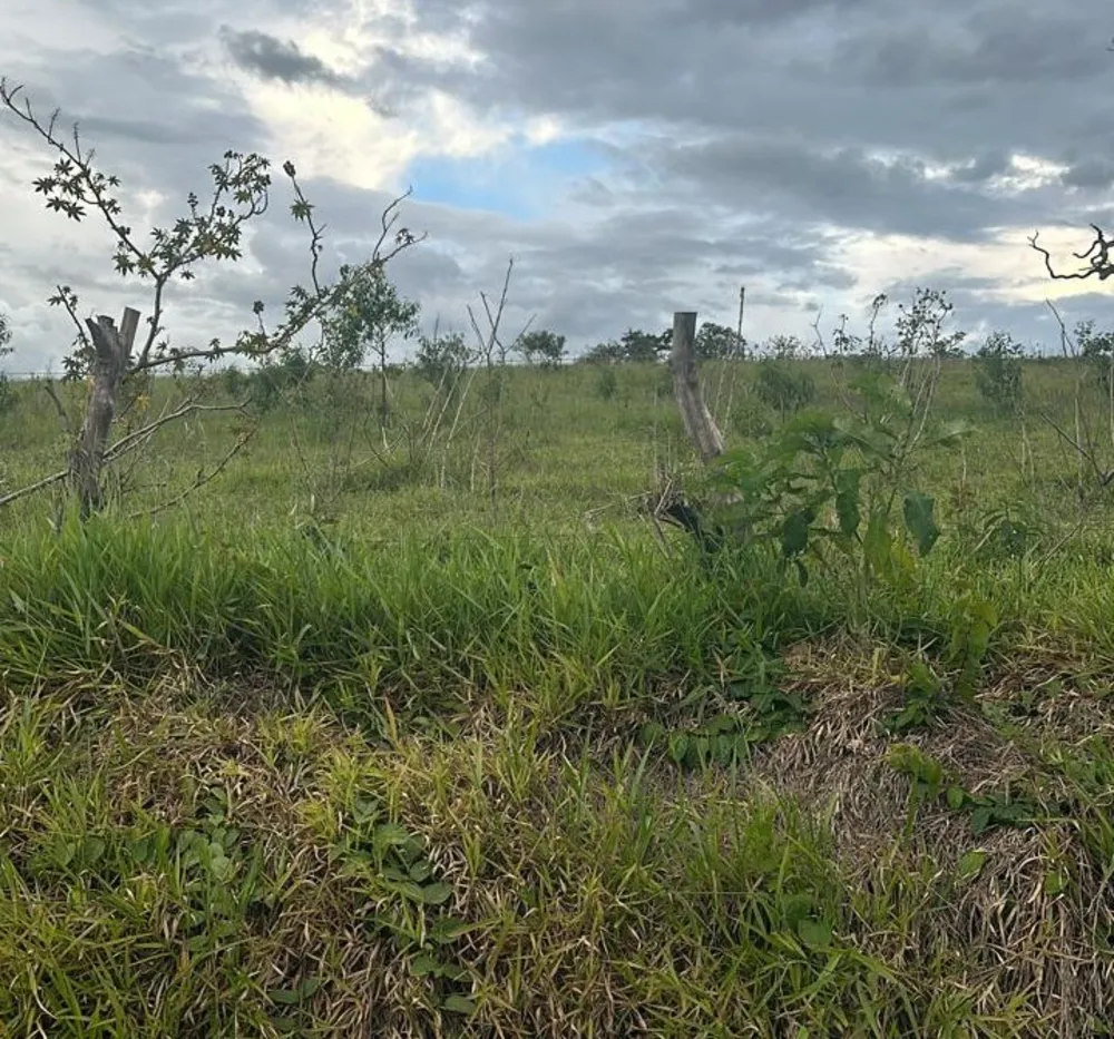 Fazenda, 194 m² - Foto 6