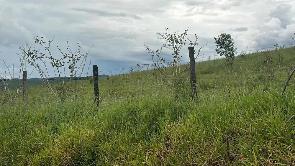 Fazenda, 194 m² - Foto 7