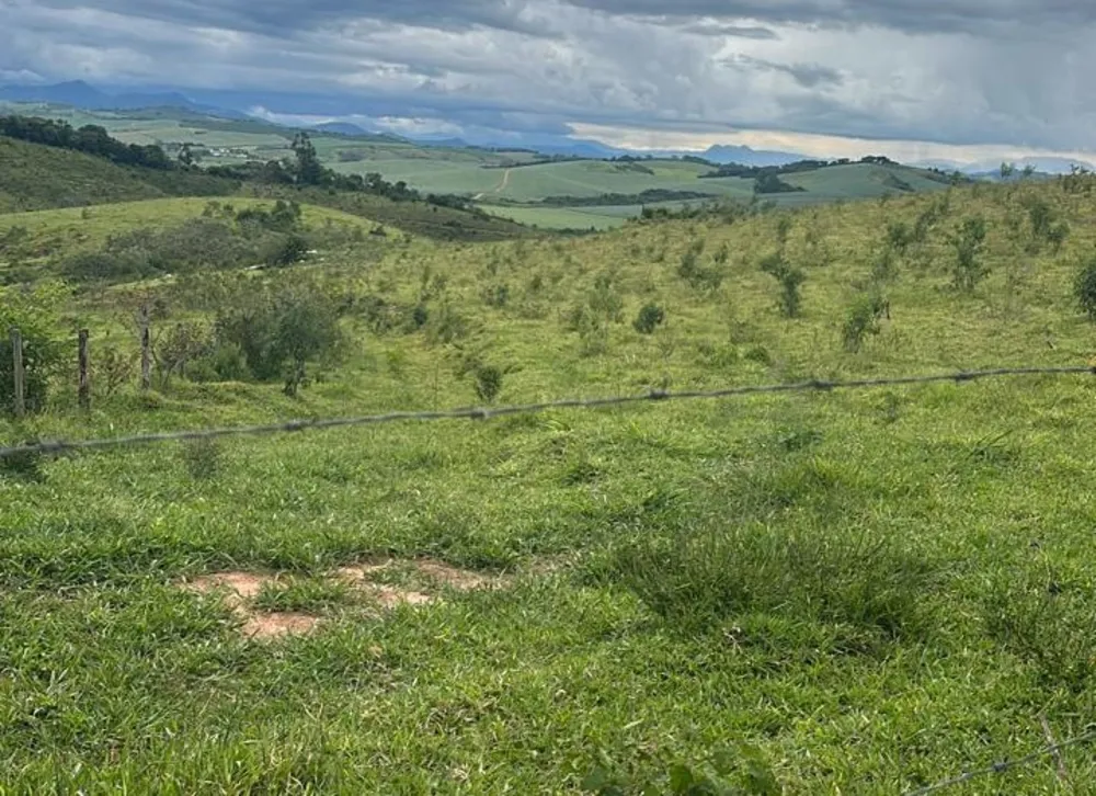 Fazenda, 194 m² - Foto 4