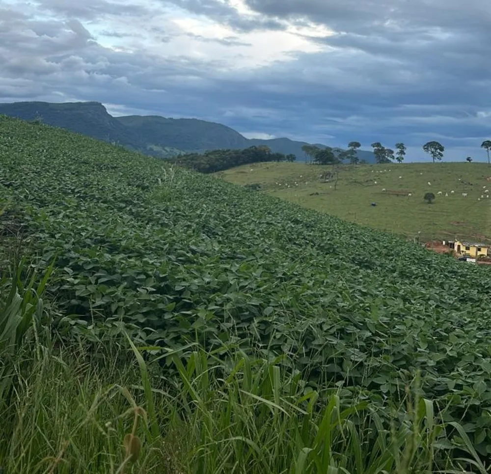 Fazenda, 194 m² - Foto 5