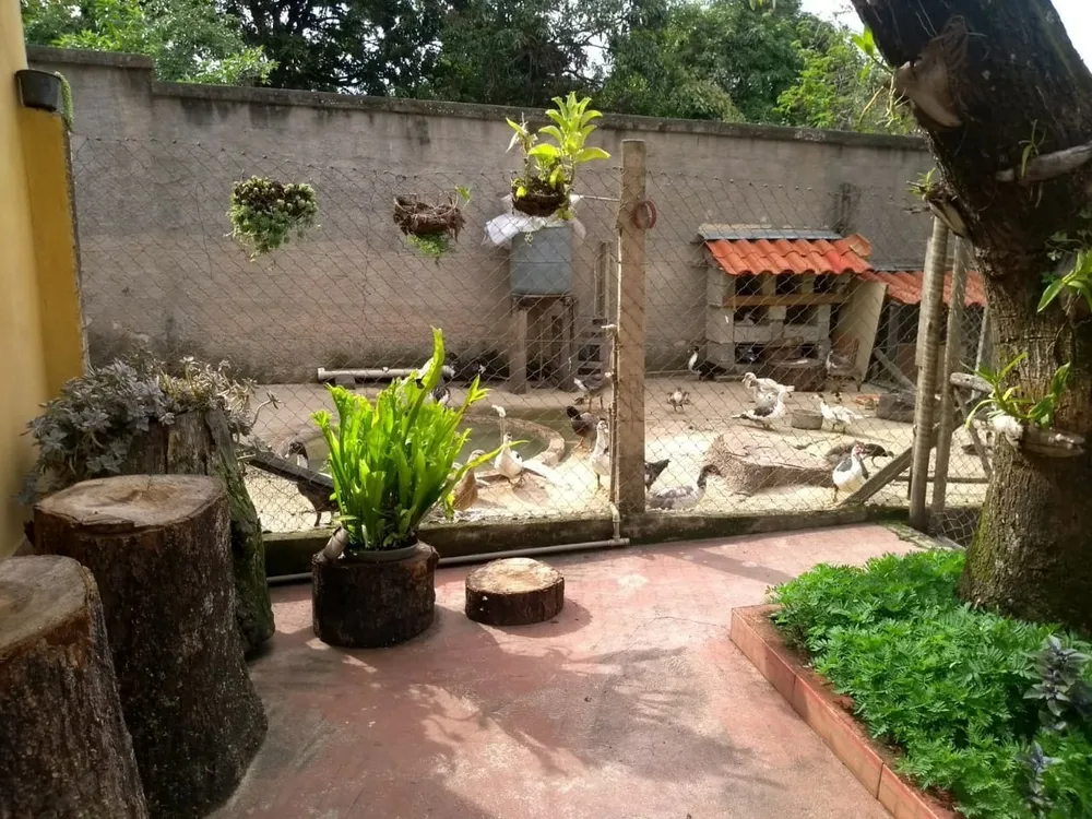 Chácara, 3 quartos - Foto 4