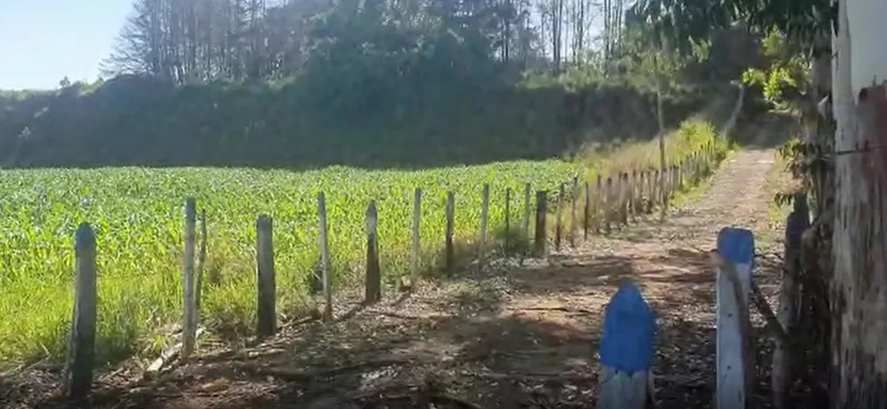 Terreno, 24 hectares - Foto 11