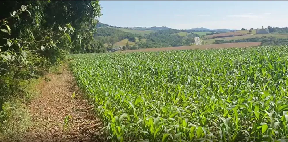 Terreno, 24 hectares - Foto 10