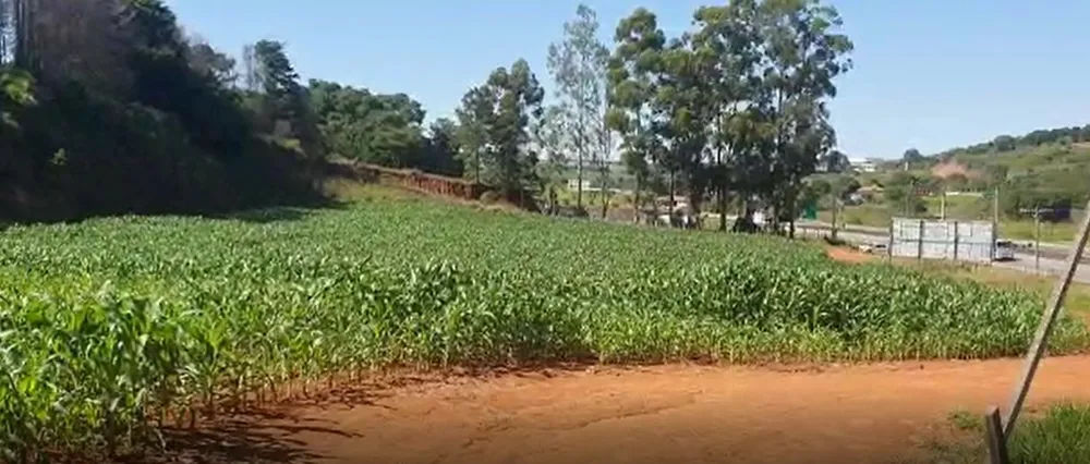 Terreno, 24 hectares - Foto 6