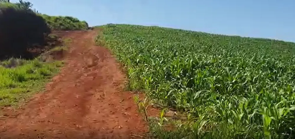 Terreno, 24 hectares - Foto 8