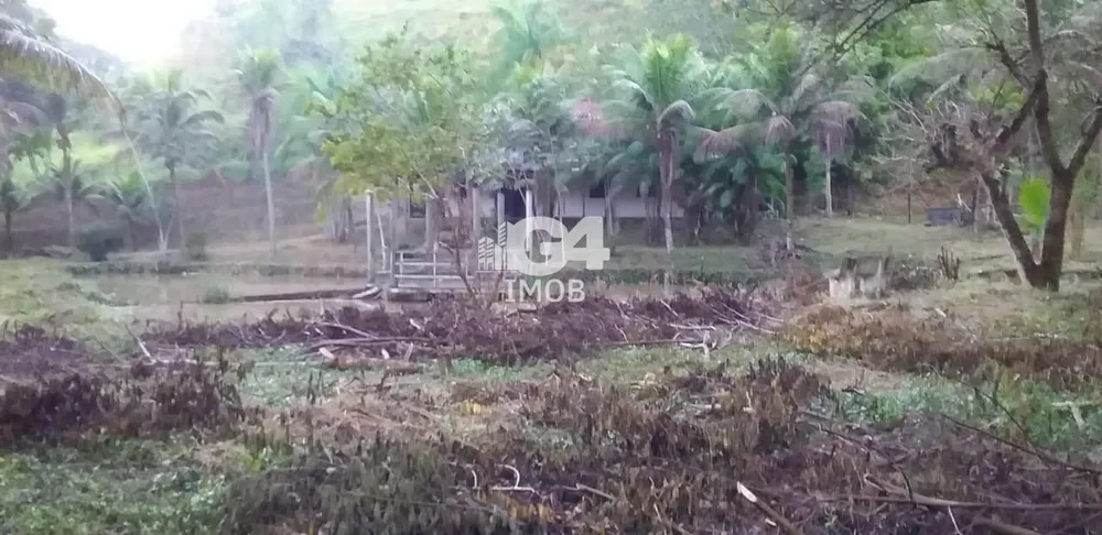 Chácara, 3 quartos, 6 hectares - Foto 14