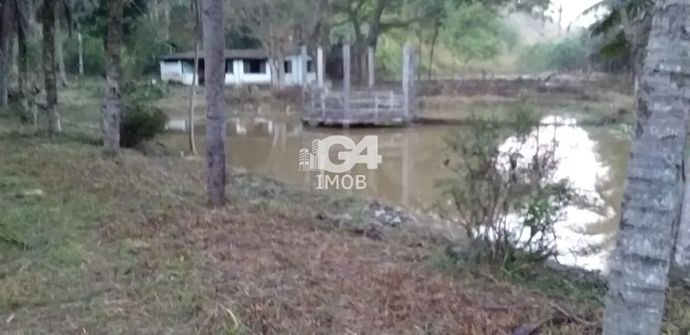 Chácara, 3 quartos, 6 hectares - Foto 17