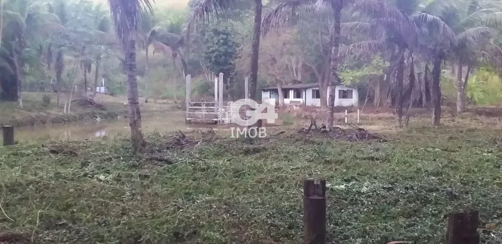 Chácara, 3 quartos, 6 hectares - Foto 1