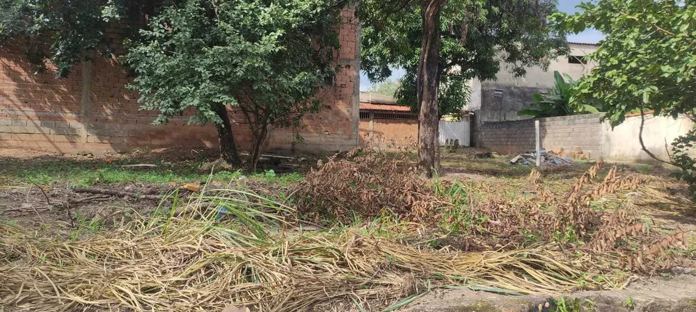 Terreno, 1300 m² - Foto 7