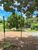 Terreno, 1003 m² - Foto 4