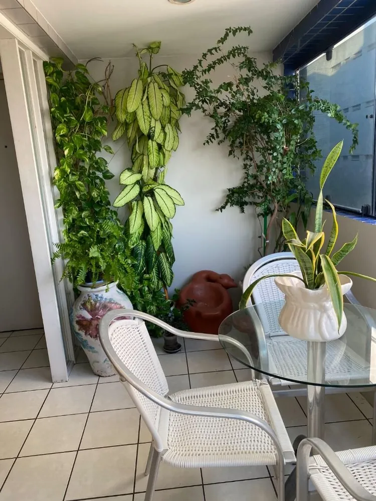 Apartamento, 3 quartos, 120 m² - Foto 5