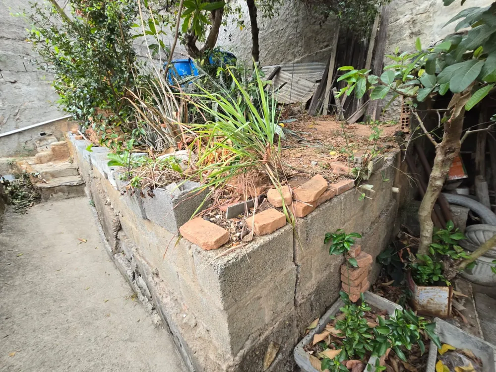Casa, 6 quartos, 230 m² - Foto 14