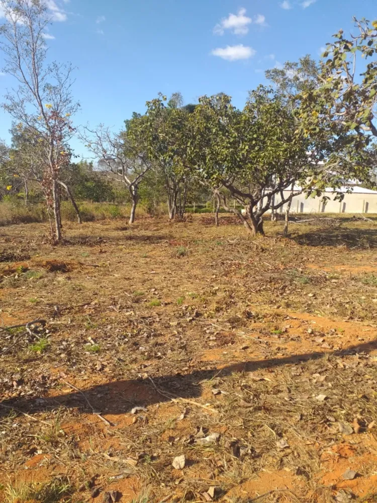 Terreno - Foto 1