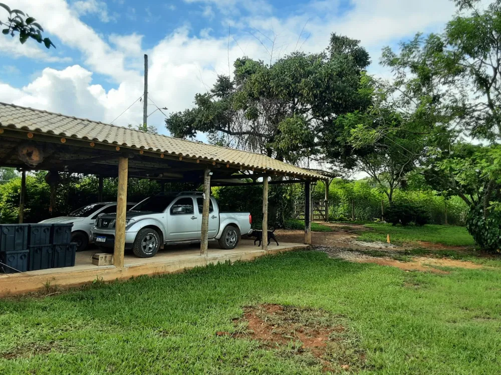 Sítio, 3 quartos, 10000 m² - Foto 3