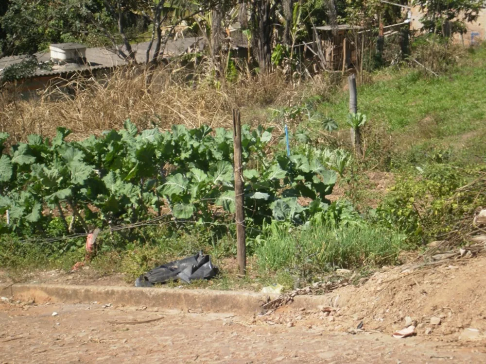 Terreno à venda, 360m² - Foto 4