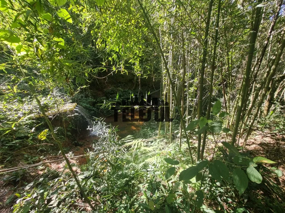 Chácara, 1 quarto - Foto 11