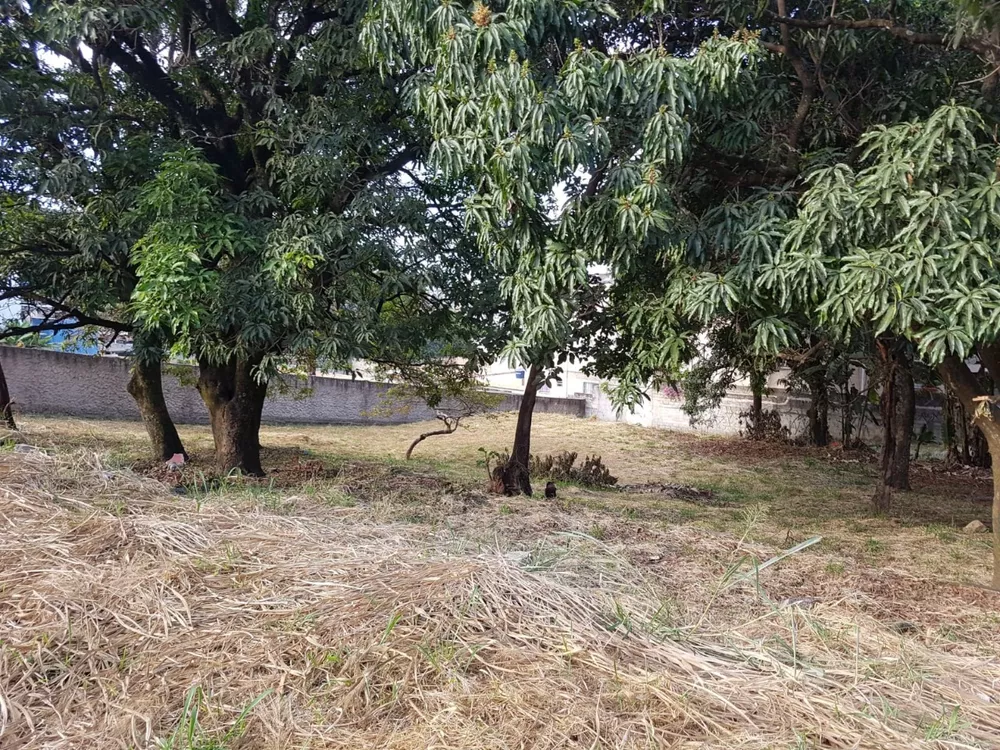 Terreno à venda, 2000m² - Foto 3