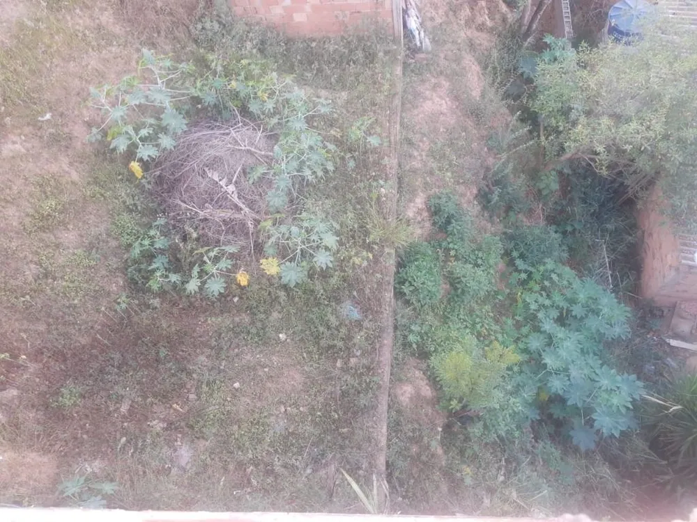 Terreno - Foto 10