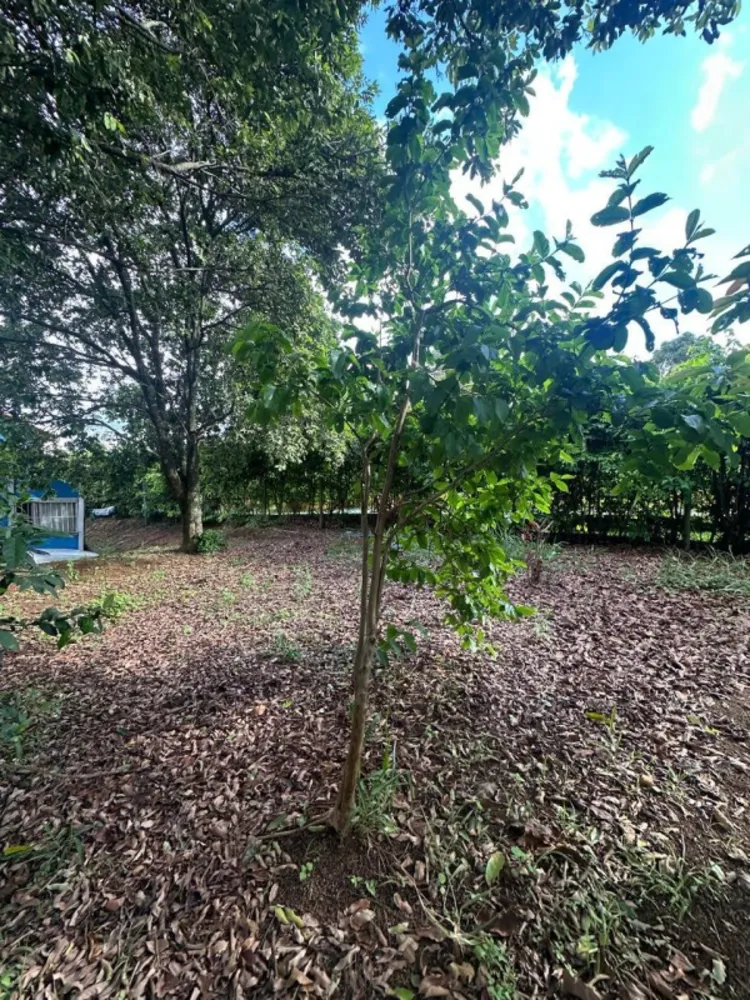 Chácara, 3 quartos - Foto 5