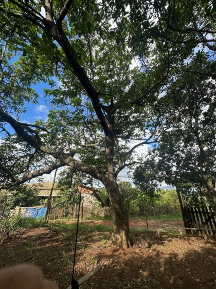 Chácara, 3 quartos - Foto 6