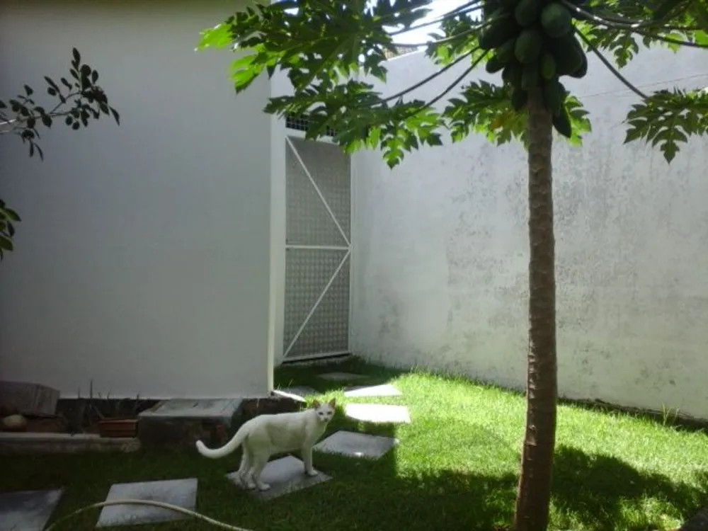 Casa, 5 quartos, 400 m² - Foto 7
