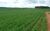 Fazenda, 72 hectares - Foto 4