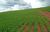 Fazenda, 72 hectares - Foto 5