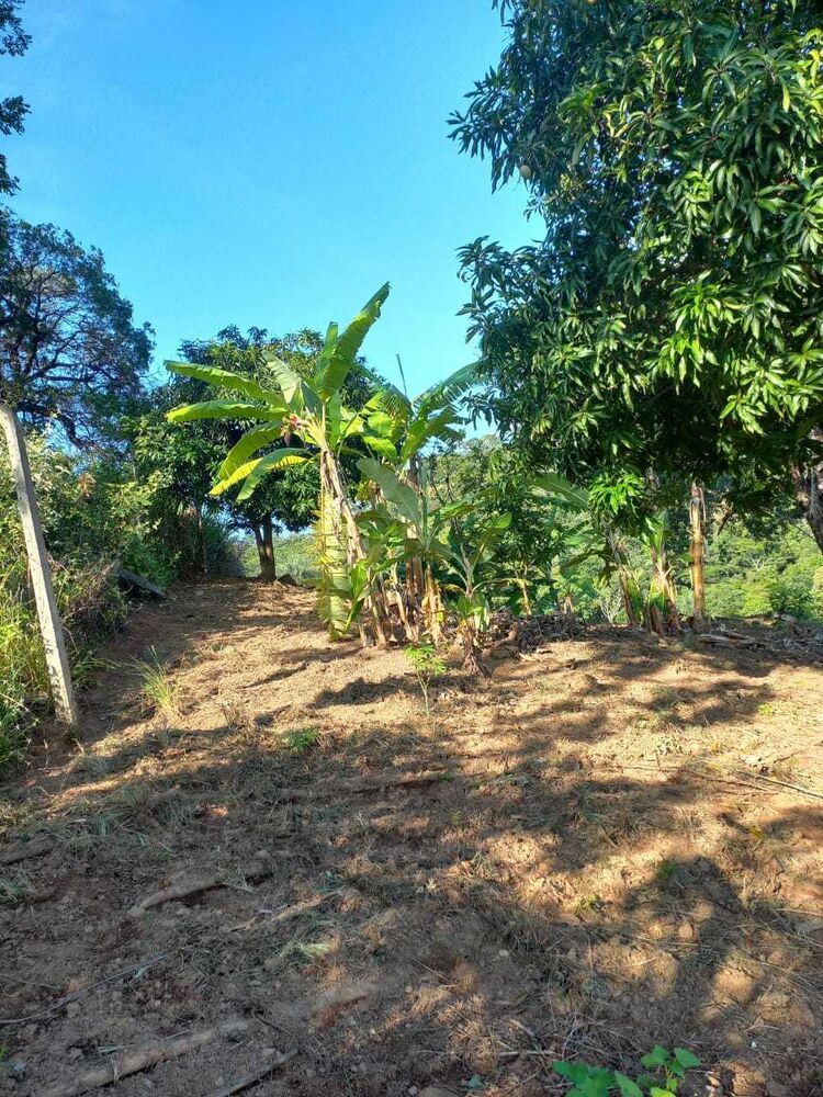 Terreno à venda, 360m² - Foto 1