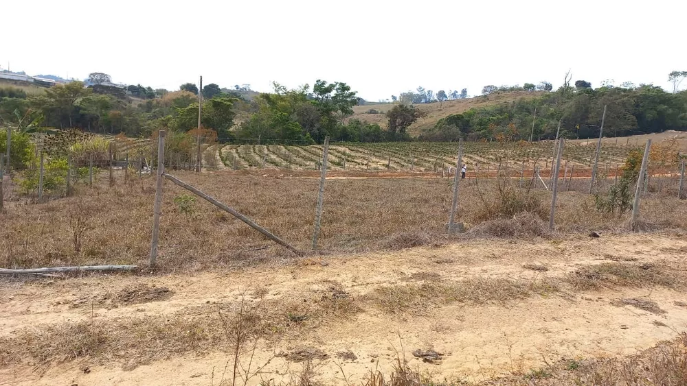 Chácara à venda com 1 quarto, 1000m² - Foto 4