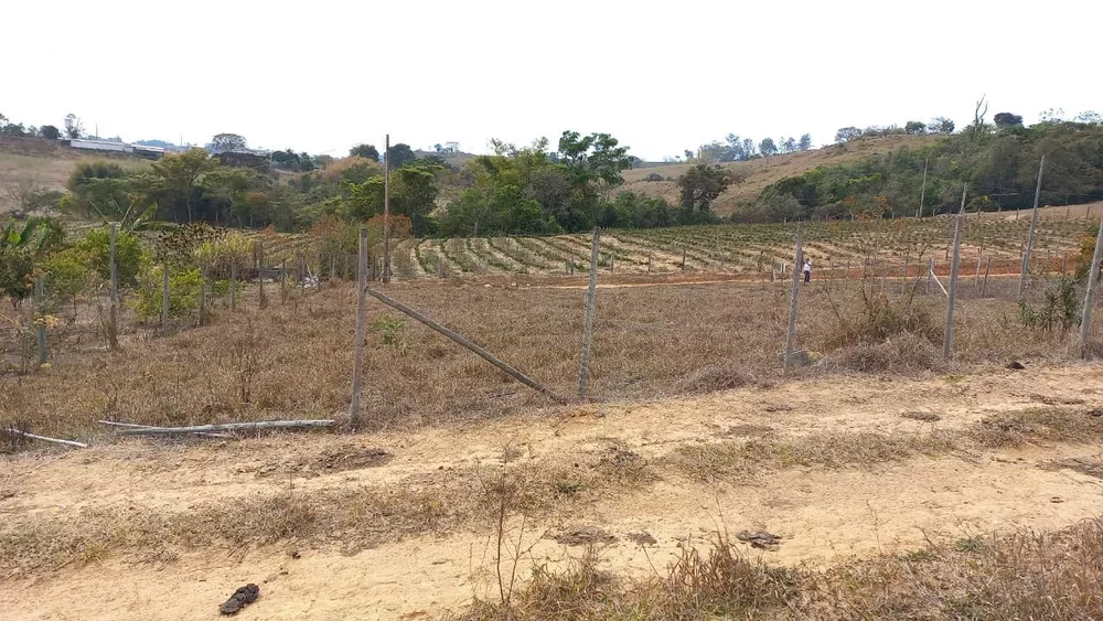 Chácara à venda com 1 quarto, 1000m² - Foto 3