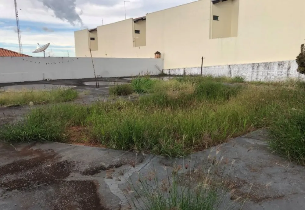 Casa, 3 quartos, 594 m² - Foto 19