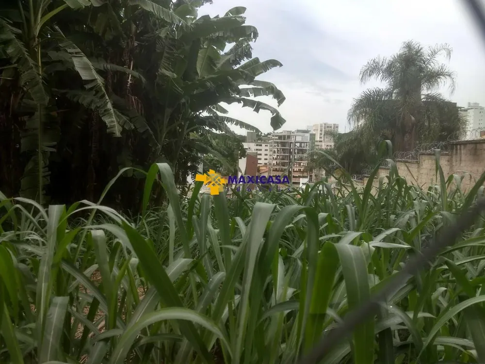Terreno, 1205 m² - Foto 5