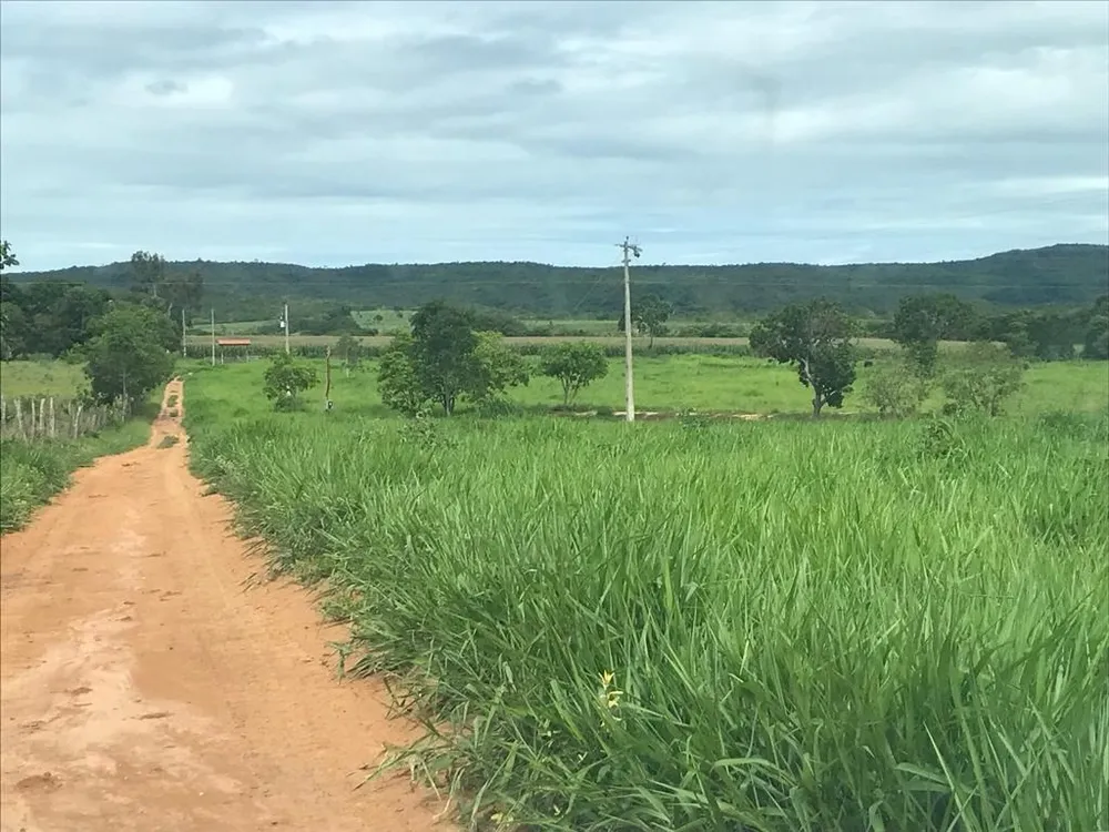 Fazenda, 3 quartos - Foto 12