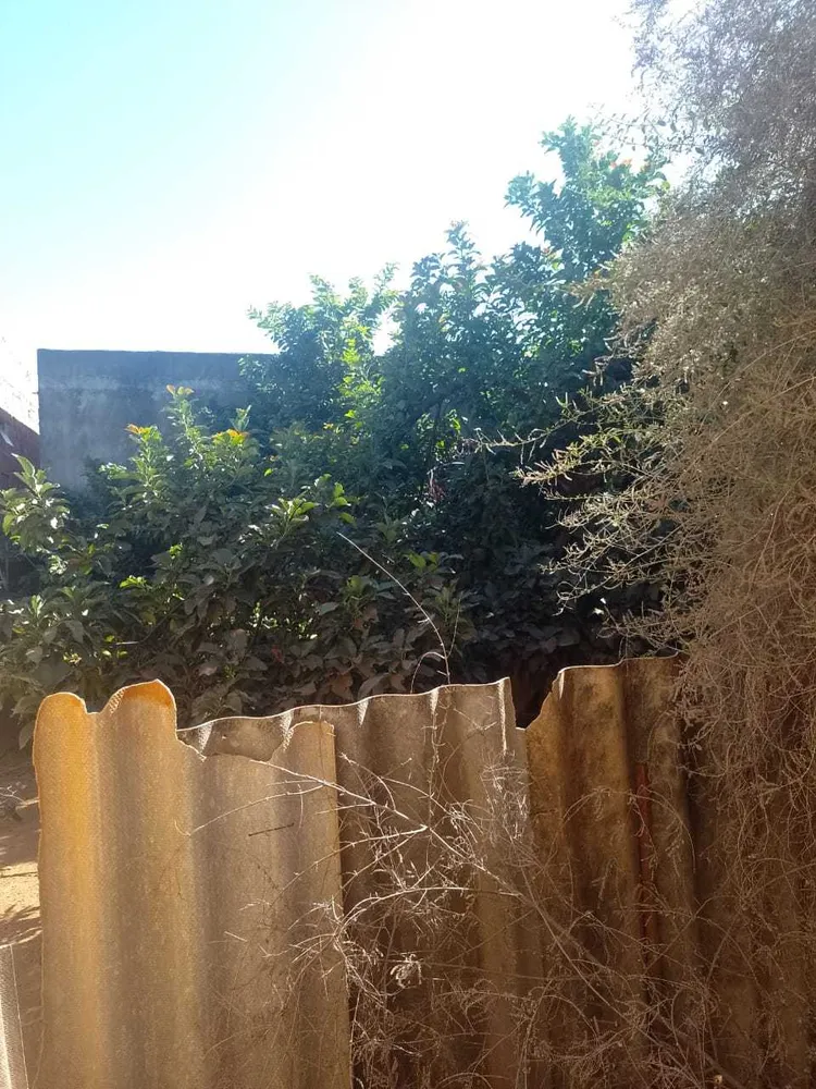 Terreno, 360 m² - Foto 2