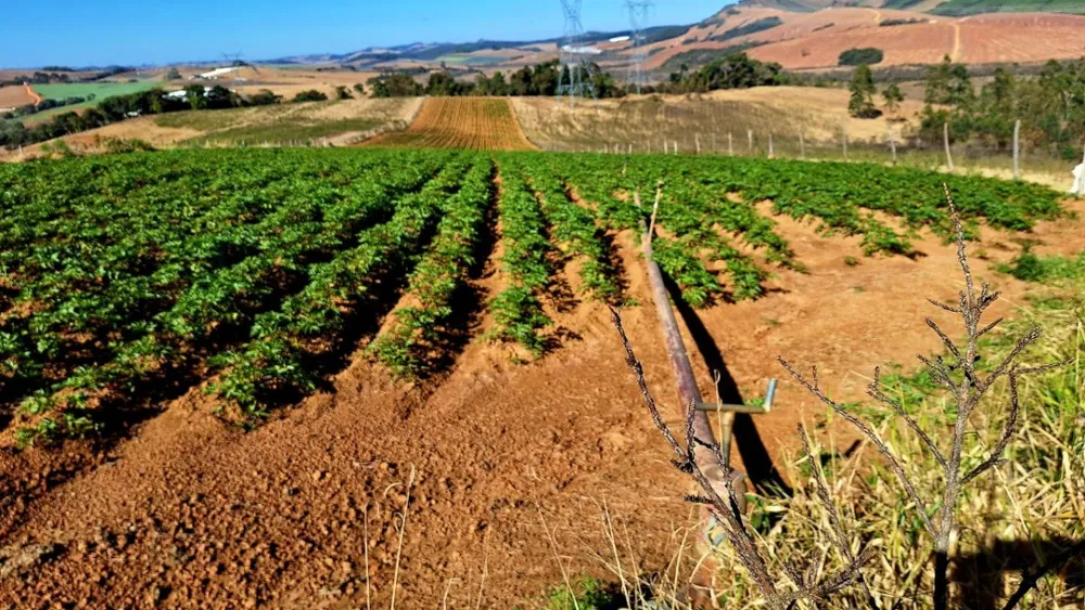 Fazenda, 73 hectares - Foto 3