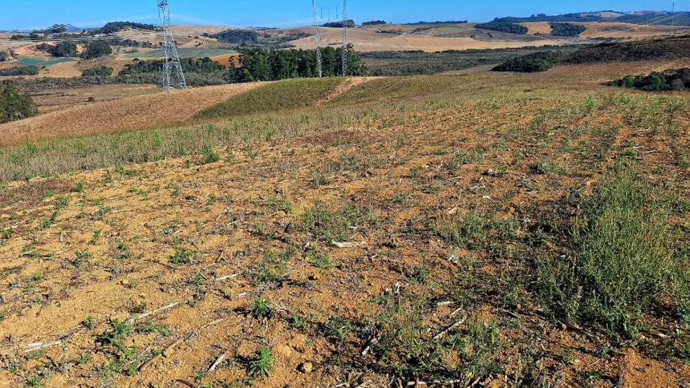 Fazenda, 73 hectares - Foto 2