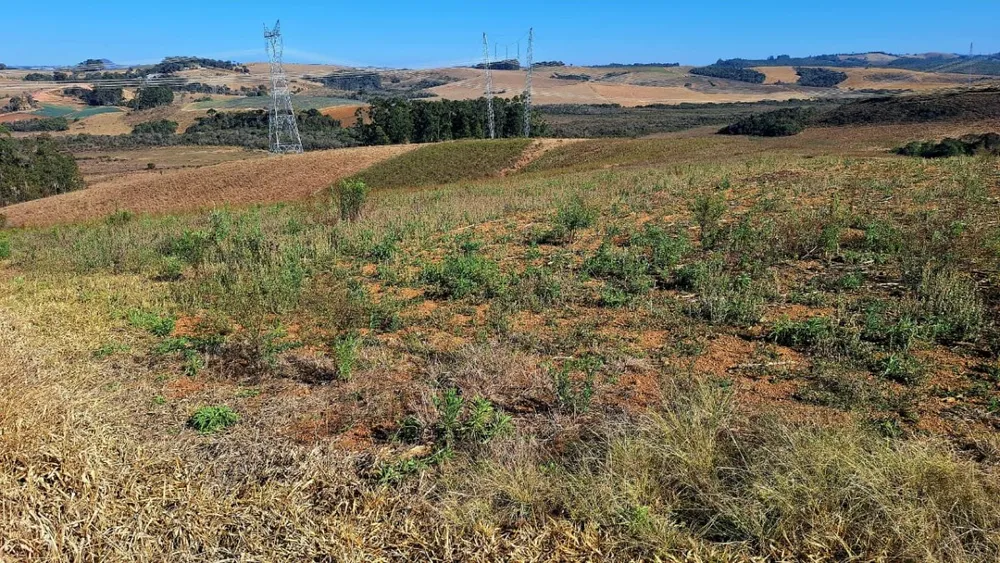 Fazenda, 73 hectares - Foto 1