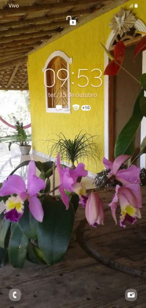 Chácara, 3 quartos - Foto 1